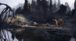 Elephant Graveyard 2019