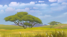 Back Lands