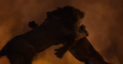 Fight