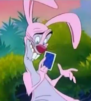 Rabbit2