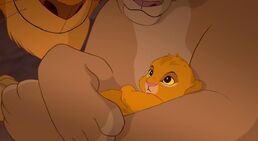Simba Cubbie AAWWW