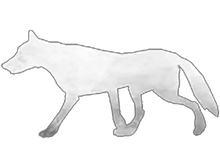 Stalker icon