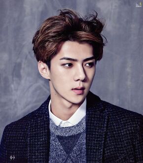 6f091597ad1f9d7cf012f9f95012d498--calendar--sehun-