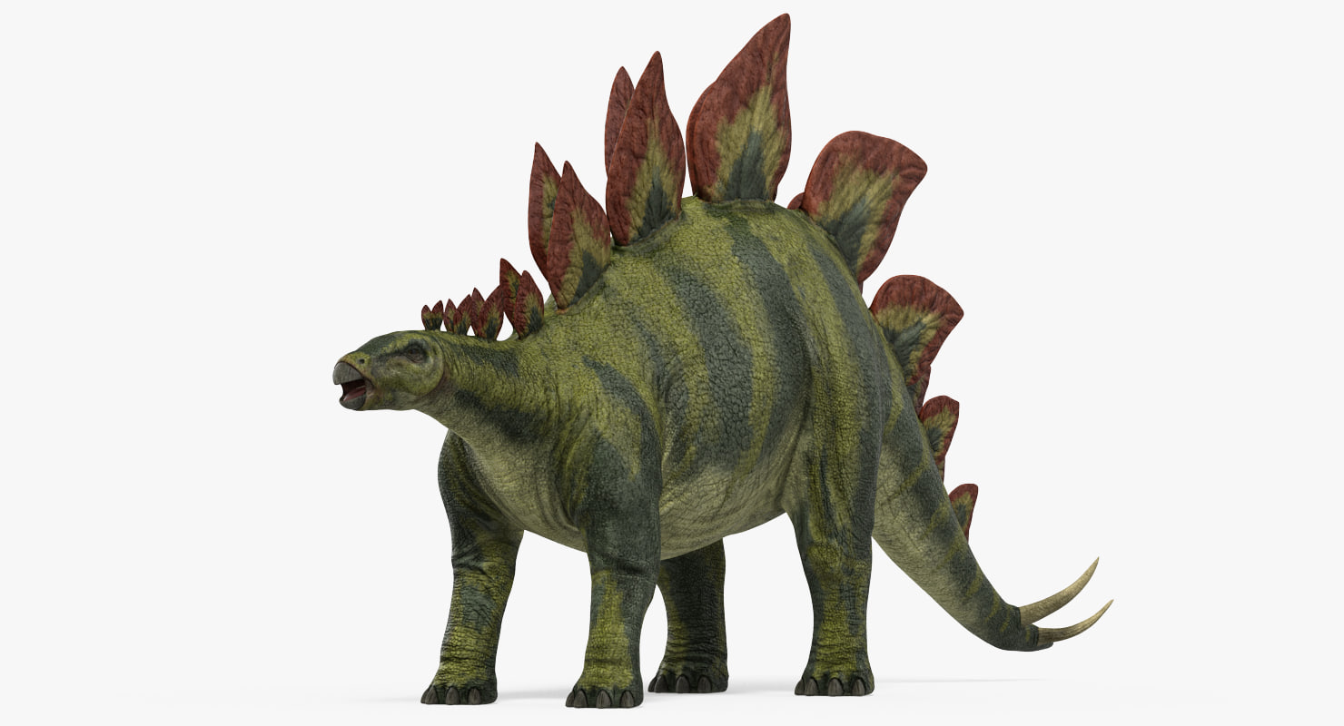 le stegosaurus