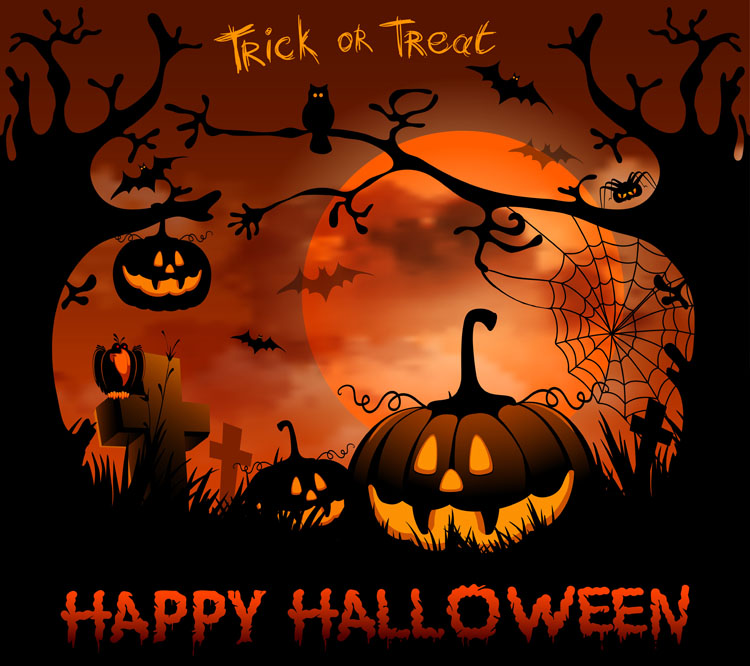 Image result for happy halloween images
