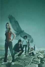 Angel A Maximum Ride Novel Read Online