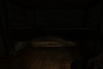 Hiding Thumber Crawlspace1