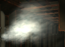 Steam trap