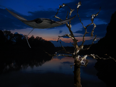 Flying Manta Rays | TheMothMan Wikia | Fandom