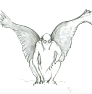 Moth70