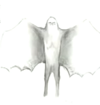 Moth72