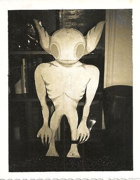 Moth782