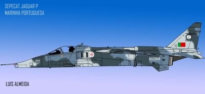 Jaguarmarinhacopy