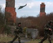 Ireland army 1995