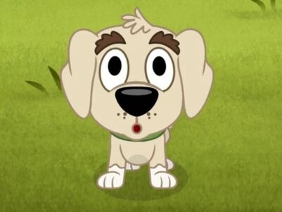 Corky