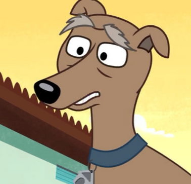 Dash Whippet