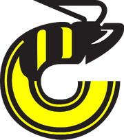 Cincinnati Stingers