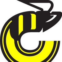 Cincinnati Stingers Nhl Wiki Fandom