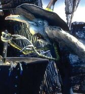witch the nightmare before christmas