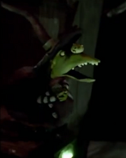 witch the nightmare before christmas