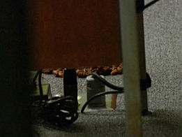 The carpet