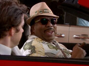 Florida stanley