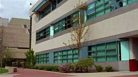 New breed university