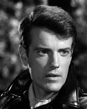 Lee kinsolving