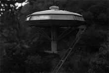 Duplicate man house