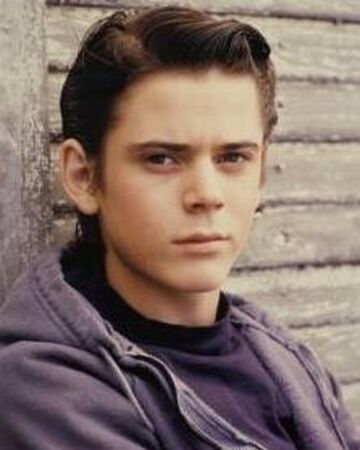 Ponyboy Curtis The Outsiders Wiki Fandom