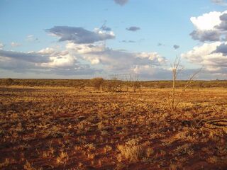 Desert plain