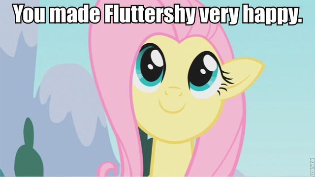 File:Happy Fluttershy .jpg