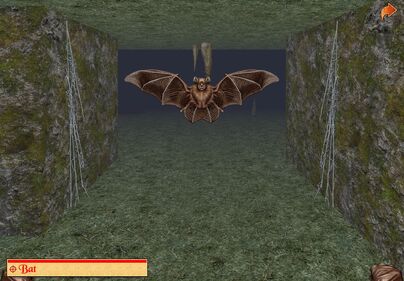 Bat