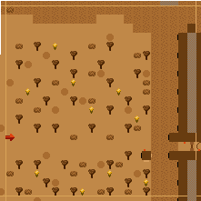 Field of the Big Wall