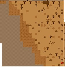 Western Barren Forest
