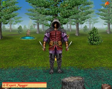Expert mugger