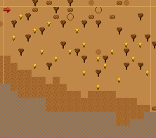 Field of the Sun