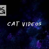 Cat Videos Regular Show Wiki Fandom