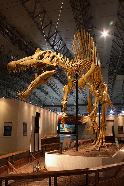 spinosaurus real skeleton