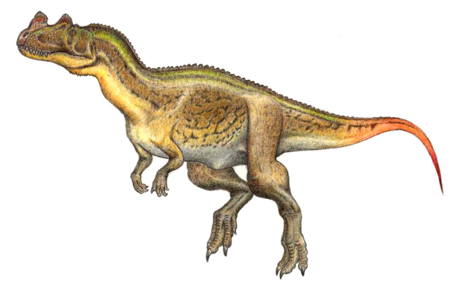 encyclopedia of dinosaurs the theropods