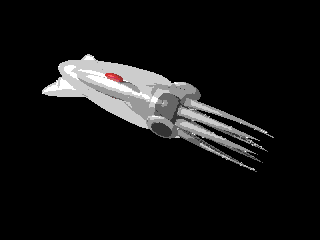 Squid