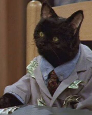 Sabrina Gets Her License Part 2 Thesabrinatheteenagewitch Wiki