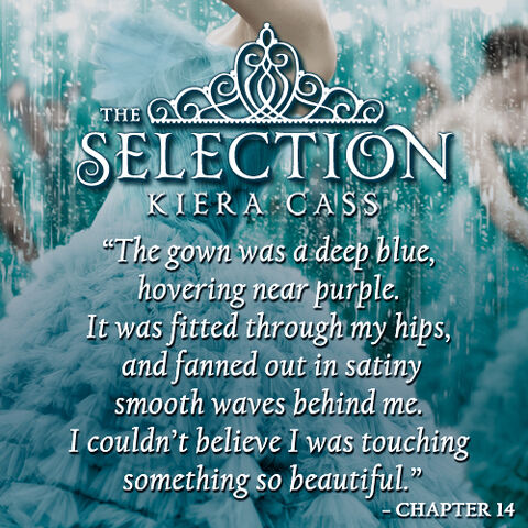 Image - Book-quotes-the-selection-series-30803282-500-500.jpg | The