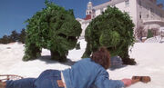 Topiary animals