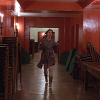 The Red Hallway The Shining Wiki Fandom