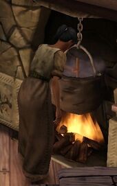 Cooking Stew