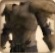 LordKnight'sBulwark1