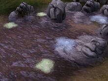 Leech Pond
