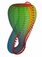 KleinBottle anim