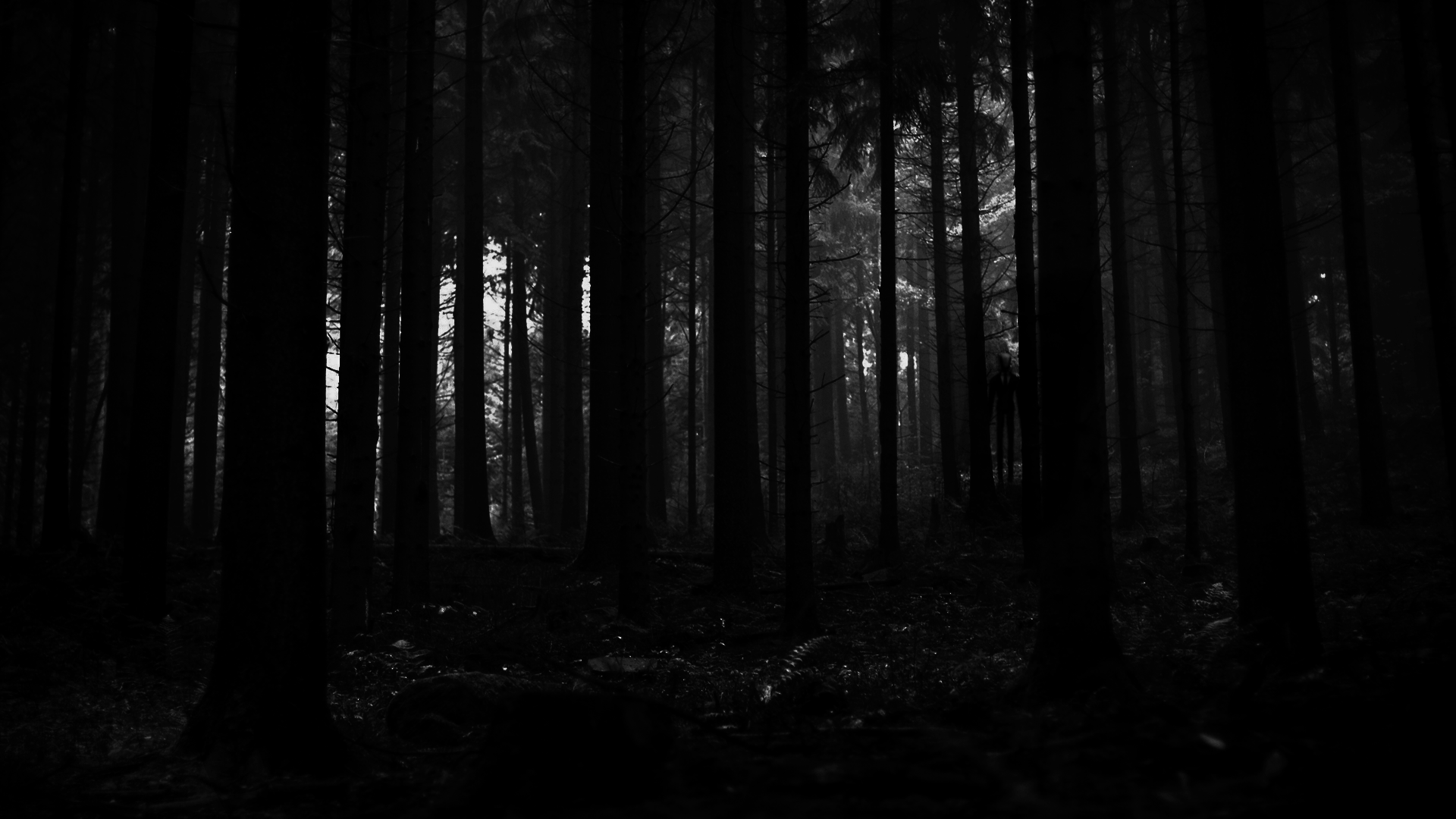 dark woods theory